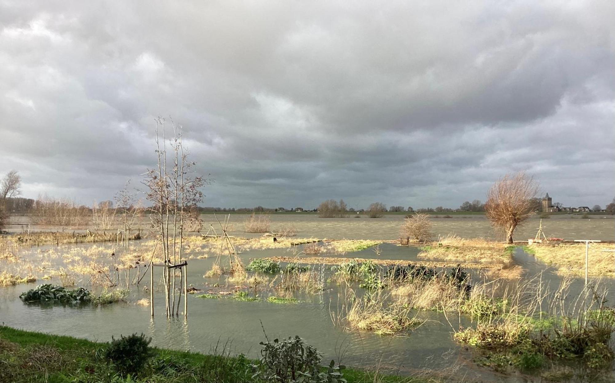 Unique Place On The River Waal *