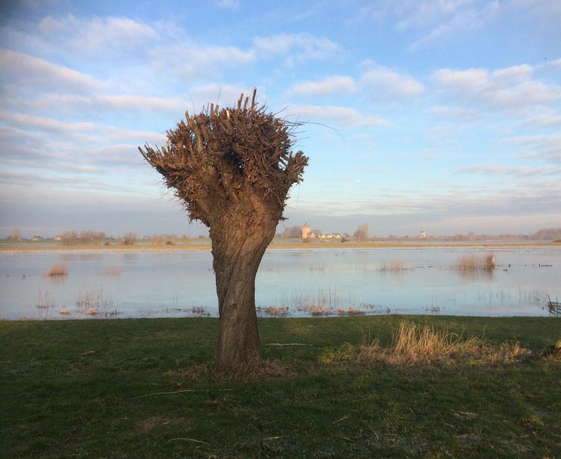 Unique Place On The River Waal *